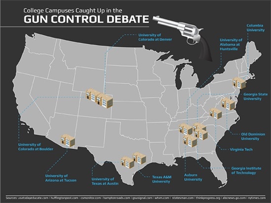 gun control debate infographic