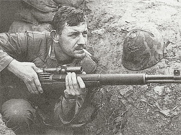 M1 Carbine with M82 scope 
