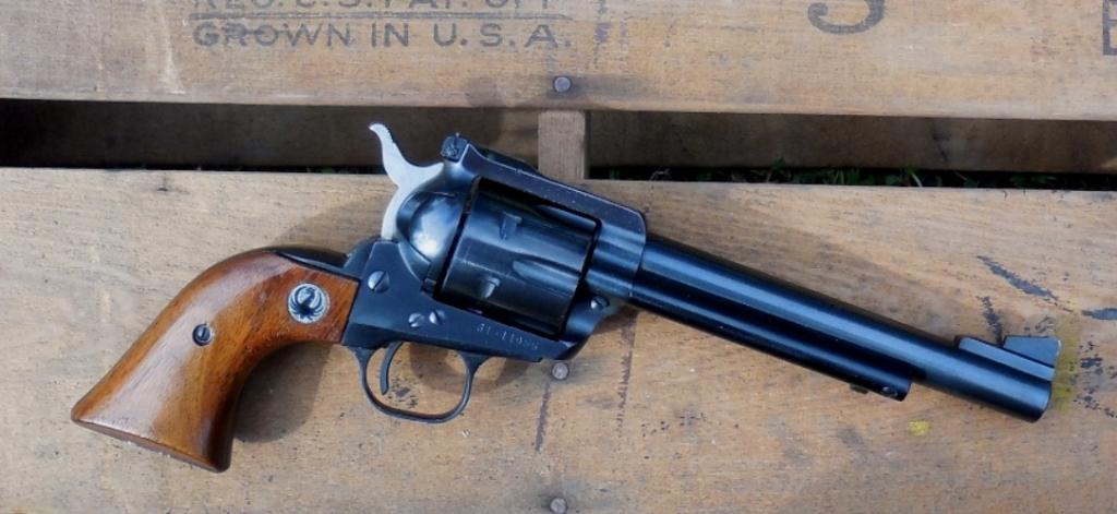 Is The Ruger Blackhawk Revolver The Ultimate Survival Gun Guns Com