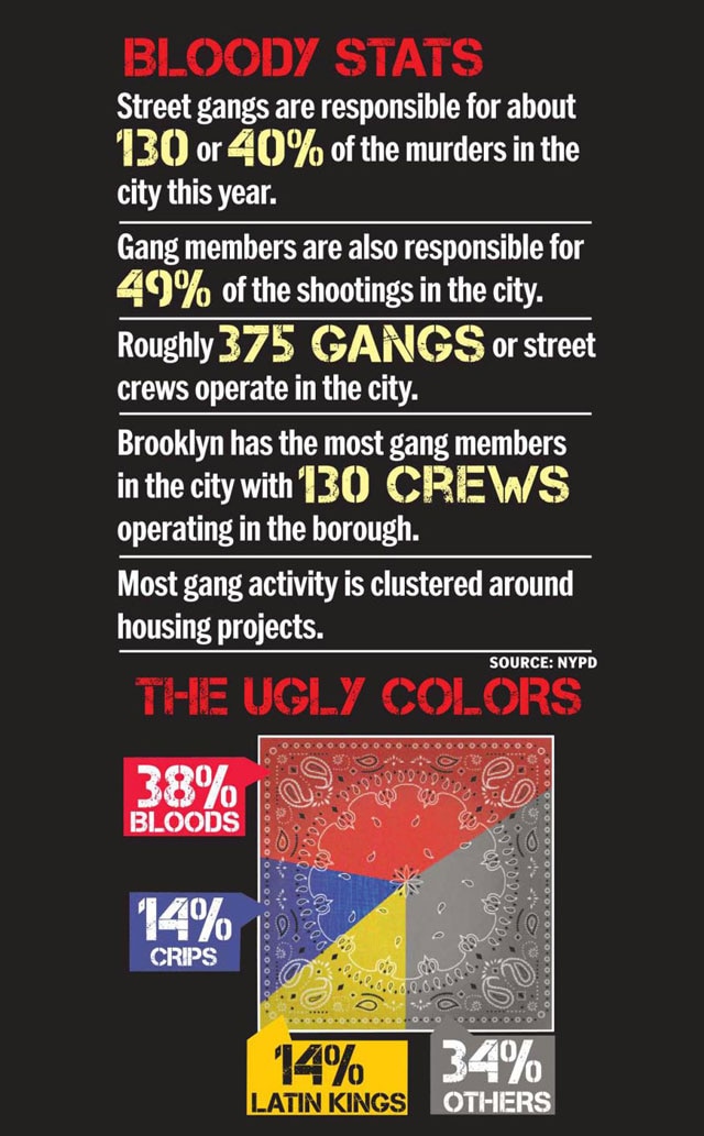 NYC gang violence