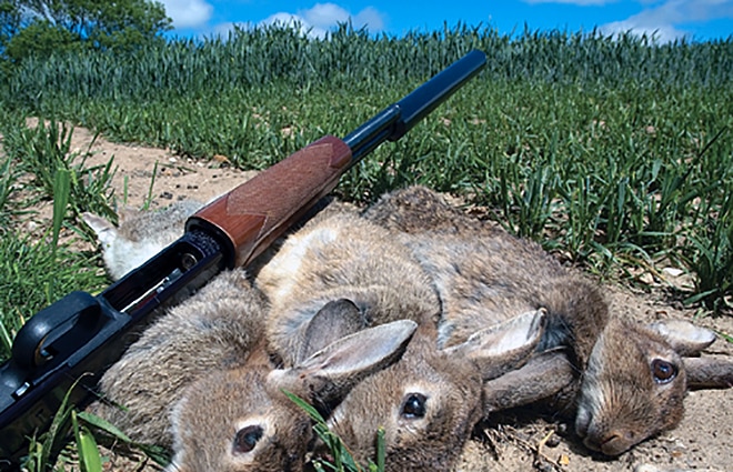 rabbit-hunting-gun-thumb