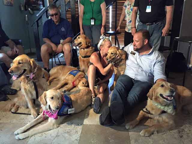 therapy dogs Orlando shooting