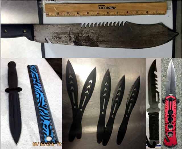 knives seized by tsa