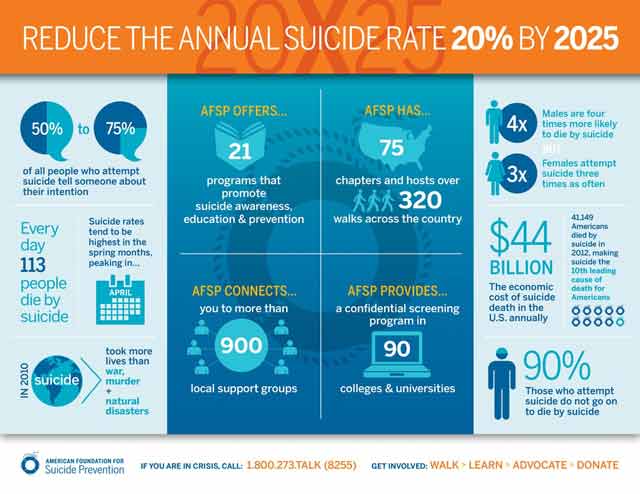 Project 2025 infographic reduce suicide rate