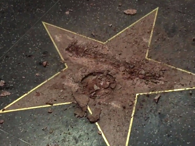 Donald Trump star destroyed