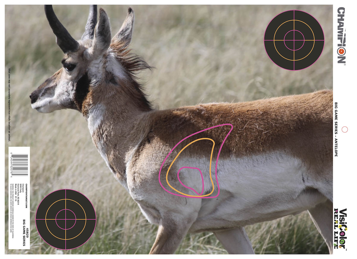 The ____ targets feature wildlife photography that makes target shooters feel like they're on the hunt. (Photo: Champion Traps and Targets)