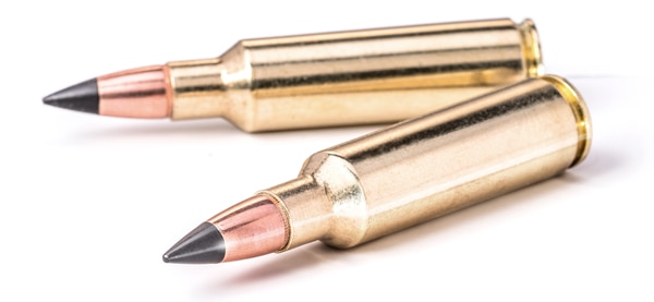 The Deer Season XP line now features .223 Rem and 6.5 Creedmoor calibers.(Photo: Winchester Ammunition)