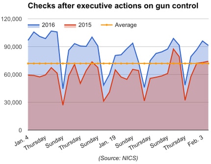 checks after executive actions on gun control