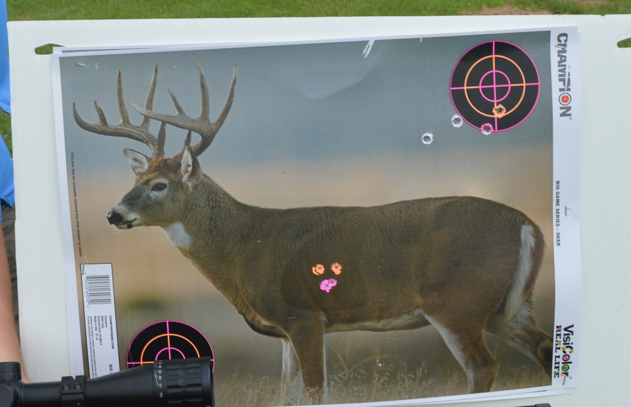 Champion's new VisiColor Real Life Big Game targets are a great sight-in option for hunters. Available in either whitetail, antelope, or bear, these targets are have vital areas marked by different colors. Here you can see heart shots show up as pink, while lung and outer vitals are orange. Smaller bullseyes in the corners allow for further target practice. (Photo: Kristin Alberts)