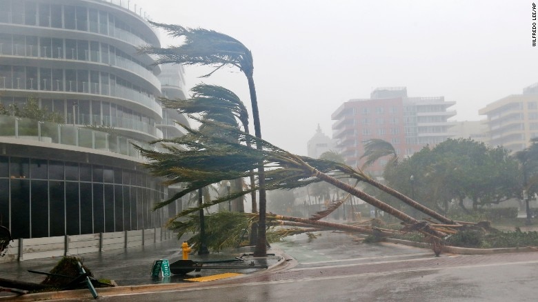 Caption: Hurricane Irma downs palm trees in Miami, Florida. (Photo: Wilfredo Lee/AP)