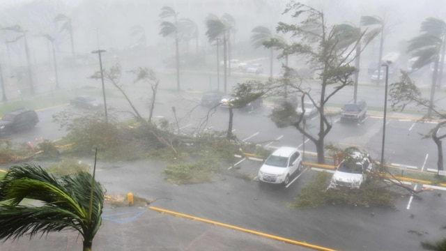Trees are toppled in a parking lot at Roberto Clemente Coliseum in San Juan, Puerto Rico, on September 20, 2017, during the passage of the Hurricane Maria. Maria made landfall on Puerto Rico on Wednesday, pummeling the US territory after already killing at least two people on its passage through the Caribbean. The US National Hurricane Center warned of "large and destructive waves" as Maria came ashore near Yabucoa on the southeast coast. (Hector Retamal/AFP via Getty Images)