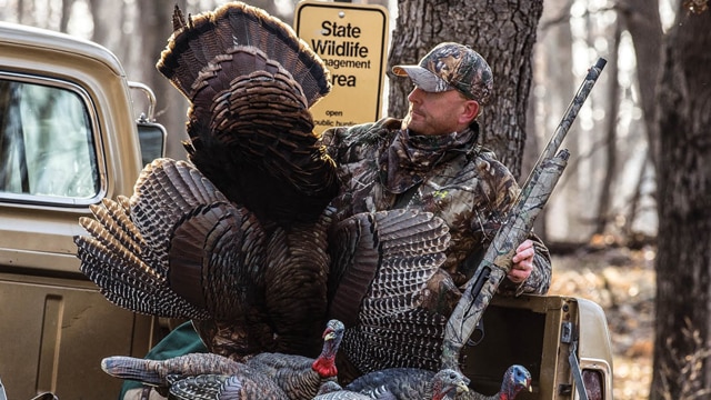 Stoeger and sister company Franchi come aboard as the former Gander Mountain reorganizes under CEO Marcus Lemonis's new vision for the outdoor retailer -- including a larger assortment of guns at better prices. (Photo: Gander Outdoors/Twitter) 