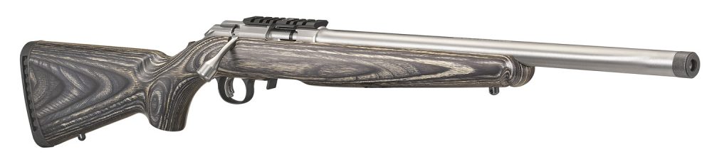 Stainless Ruger American Rimfire Rifle