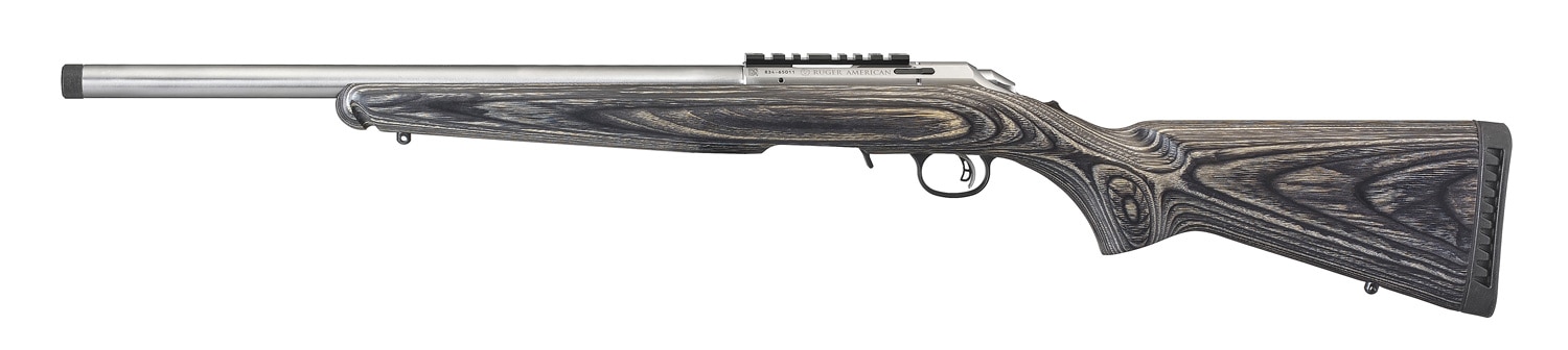Stainless Ruger American Rimfire Rifle
