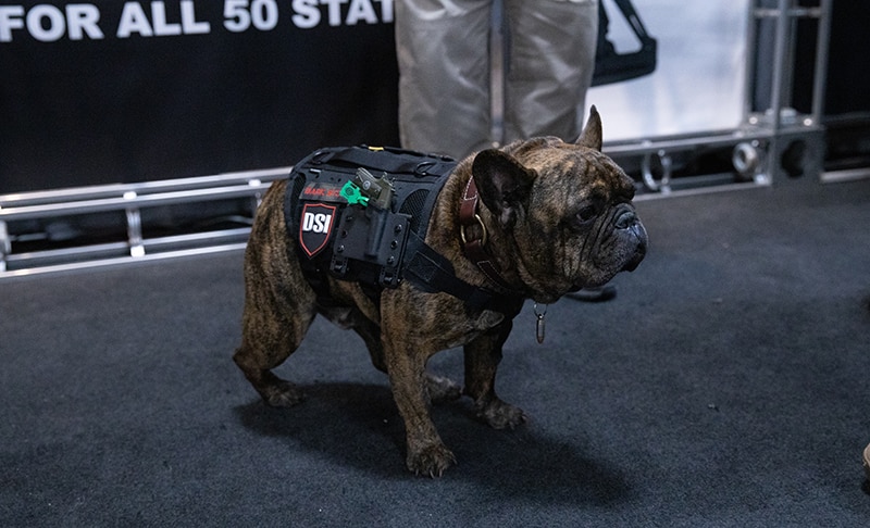 Dogs of SHOT Show