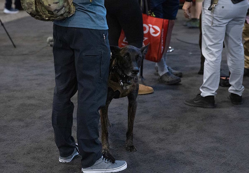Dogs of SHOT Show