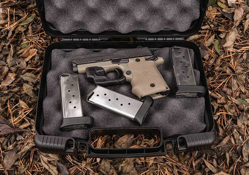 sig sauer p938 in case with 3 magazines