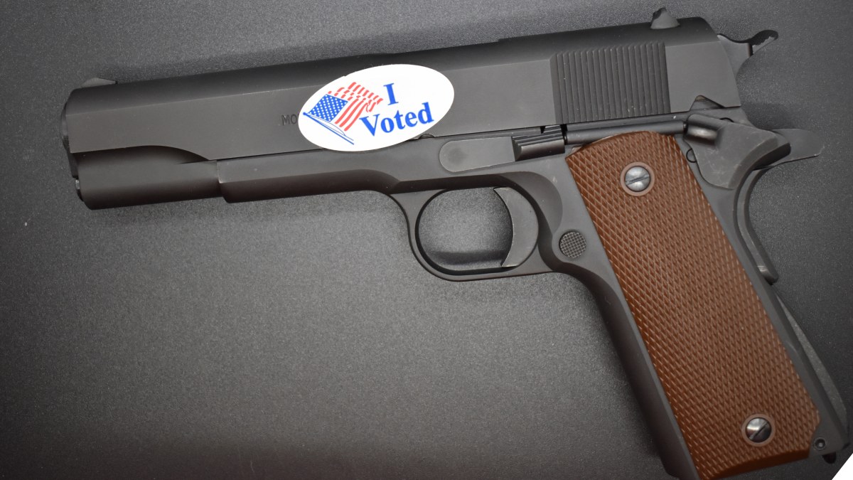 Bill Would Drop Age to Buy Handguns from 21 to 18 for Voters
