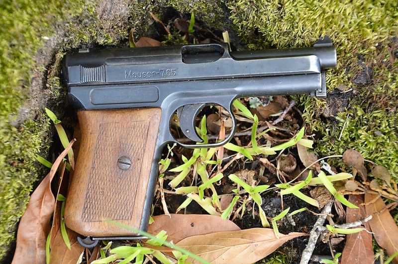 Mauser M1914 pocket pistol on a mossy tree trunk