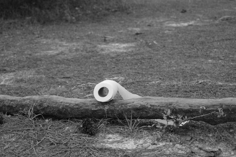 A roll of toilet tissue hiding out in the woods like a deer