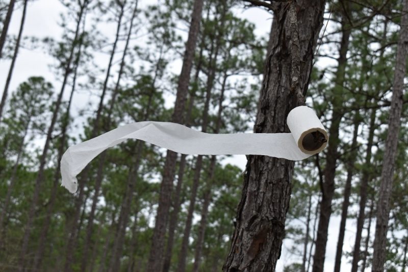 A roll of toilet tissue hiding out in the woods like a deer