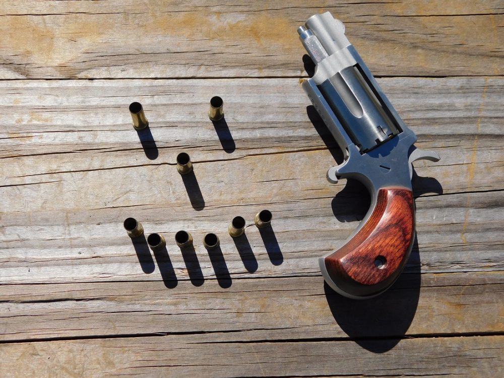 NAA mini revolver