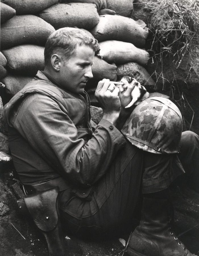 This famous image shows M1911-armed Marine Sergeant Frank Praytor and "Miss Hap," in Korea, October 1952, with the baby kitten so named because she was " born at the wrong place at the wrong time." (Photo: U.S. Marine Corps Archives)